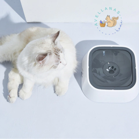 BEBEDERO ANTIDERRAME PARA MASCOTAS - comprar online