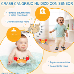CRABB CANGREJO HUIDIZO CON SENSOR en internet