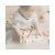 Banner de Avellanas Bebes 