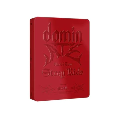 Stray Kids - World Tour <dominATE SEOUL> - Loja | Kpop and You Shop 