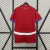 Camiseta Fan Serbia Titular 2024-2025 - comprar online