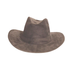 CHAPÉU COWBOY 2D - comprar online