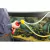 Mini Bomba De Agua P61 Kwb Para Taladro Caudal 1500 L/h