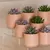 VASO DE CERÂMICA COM SUCULENTA ARTIFICIAL ROSA - PARAMOUNT - comprar online