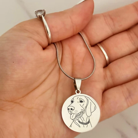 Collar de Acero Quirúrgico circular – Para Amantes de sus Mascotas - comprar online