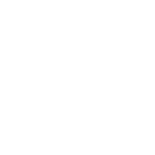 Vortex