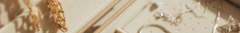 Banner da categoria Coleções
