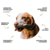Mordedor Vegano pet Biobone - porte M e G (Mordida forte) Sabor: Cana de açúcar na internet