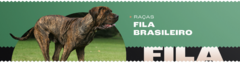 Banner da categoria Fila Brasileiro