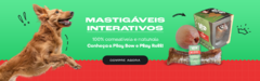 Banner da categoria Interativos