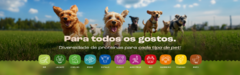 Banner da categoria Proteínas