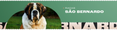 Banner da categoria São Bernardo