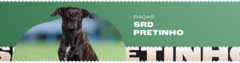 Banner da categoria SRD Pretinho