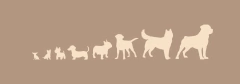 Banner de la categoría Plan según el peso