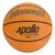 PELOTA NASSAU DE BASQUET APOLLO N5