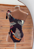 Body bia estampado - comprar online