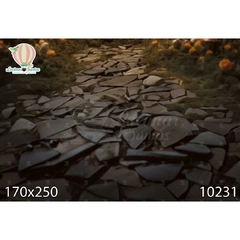 FUNDO FOTOGRÁFICO EM MALHA PEDRAS REF. 10231 na internet