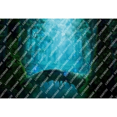 FUNDO FOTOGRÁFICO EM MALHA FLORESTA REF. 10255 - comprar online