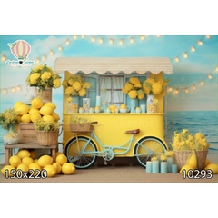 FUNDO FOTOGRÁFICO EM MALHA INFANTIL REF. 10293