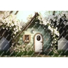 FUNDO FOTOGRÁFICO EM MALHA CASINHA REF. 10348 - comprar online