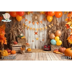 FUNDO FOTOGRÁFICO EM MALHA HALLOWEEN REF. 10934
