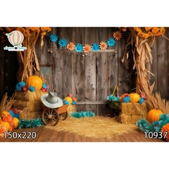FUNDO FOTOGRÁFICO EM MALHA INFANTIL REF. 10937