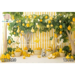 FUNDO FOTOGRÁFICO EM MALHA INFANTIL REF. 13006