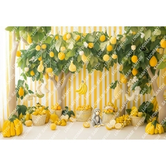 FUNDO FOTOGRÁFICO EM MALHA INFANTIL REF. 13006 - comprar online