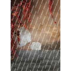 FUNDO FOTOGRÁFICO EM MALHA GESTANTE REF. 2723 na internet