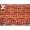FUNDO FOTOGRÁFICO EM MALHA TIJOLINHO REF. 6299 - comprar online