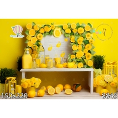 FUNDO FOTOGRÁFICO EM MALHA FRUTAS REF. 8845