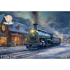 FUNDO FOTOGRÁFICO EM MALHA NATALINO REF. 8970 na internet