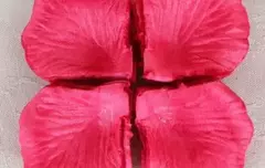 PÉTALAS DE ROSAS ARTIFICIAIS - DELÍRIUS SEXSHOP