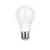 Lâmpada Bulbo Leitosa 15w De Led A60 6,000k BF Bivolt