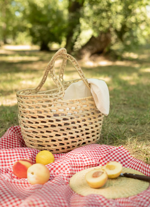 Canasta picnic
