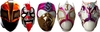 Máscaras Licra Adulto (5 Piezas)