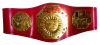 Cinturón Megacampeón