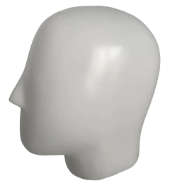 Dummy Fibra de Vidrio Adulto (Blanco) en internet