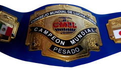 Cinturón Campeón Mundial Pesado en internet