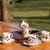 Jogo de xícaras para café com pires Aves brasileiras Em porcelana com imagens de aves brasileiras - 12 Peças na internet
