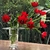 VASO CARTOLA CRISTAL TRANSPARENTE - Casadellas Home & Table