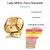 LADY MILLION PACO RABANNE EAU DE PARFUM (DECANT) - comprar online