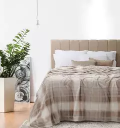 Frazada Flannel Manchester 2 ½ Plazas - comprar online