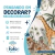 Papel de Parede Safari Animais Selvagens na Floresta - Fofo Decor