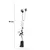 Muda de Pera Kieffer Enxertada 90 cm - comprar online