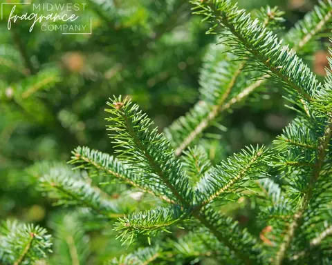 Esencia - Balsam Fir (MWFC)