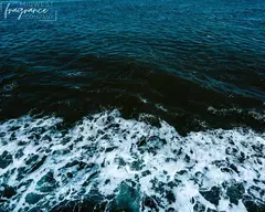 Esencia - Black Sea (MWFC)