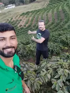 MANGA Frutado Solo Vulcânico - MG - comprar online