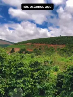 Moka - Mantiqueira de Minas MG / Safra 2024 na internet