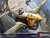 P-40E Warhawk 1/72